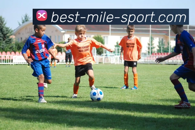 米乐体育APP 高清赛事图